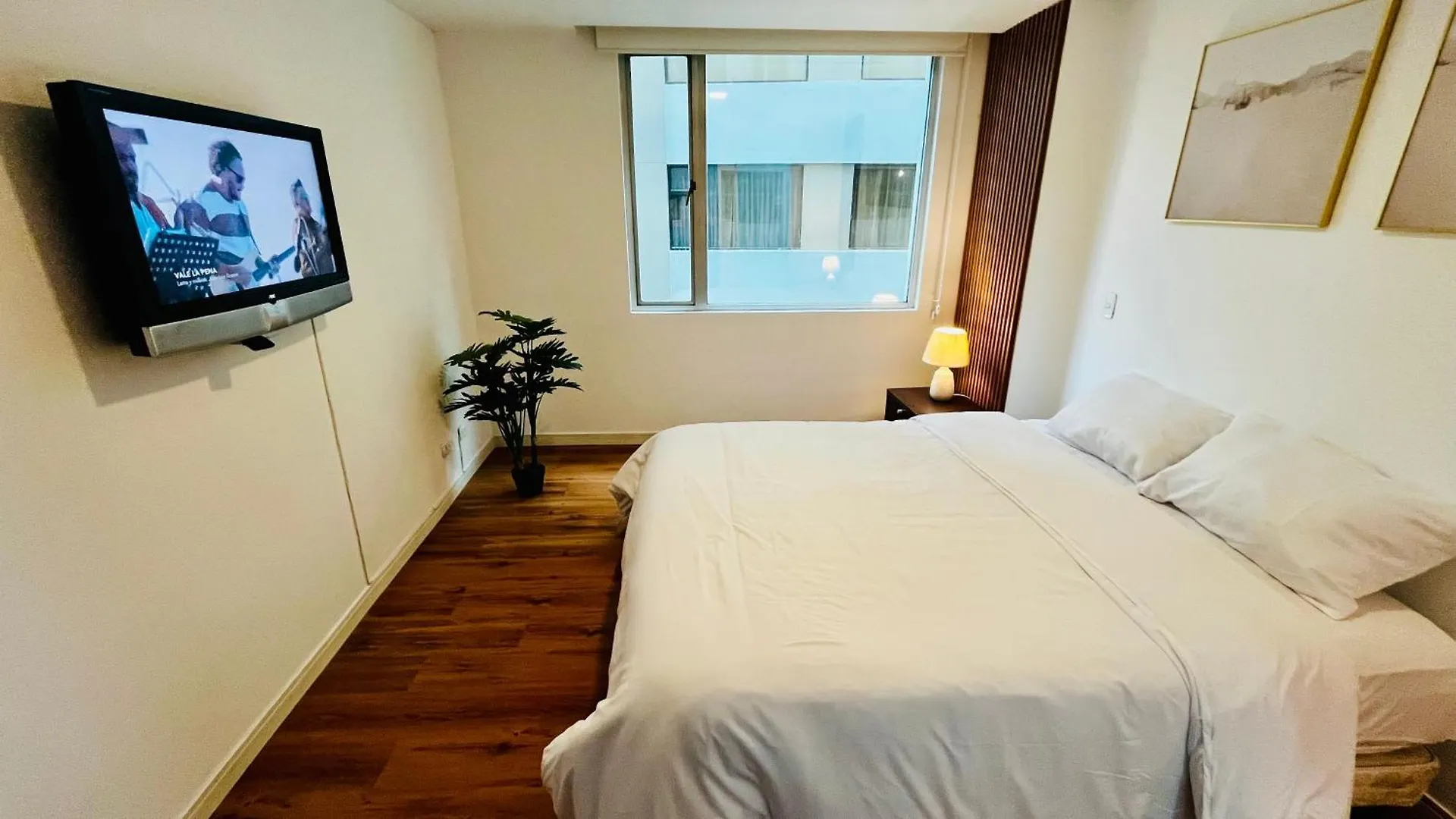 Suite Edificio Kendos kontakt